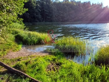 Działka nad jeziorem