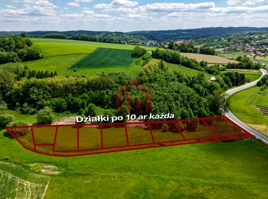 Zdjęcie 3