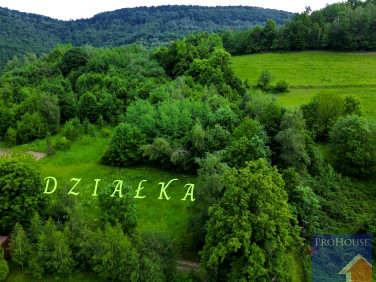 Działka Laskowa
