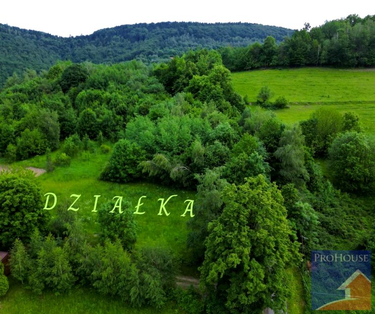 Działka Laskowa