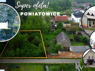 Działka przy lesie