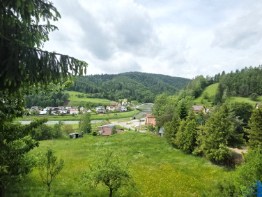 Dom Muszyna
