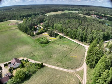 Działka Cis