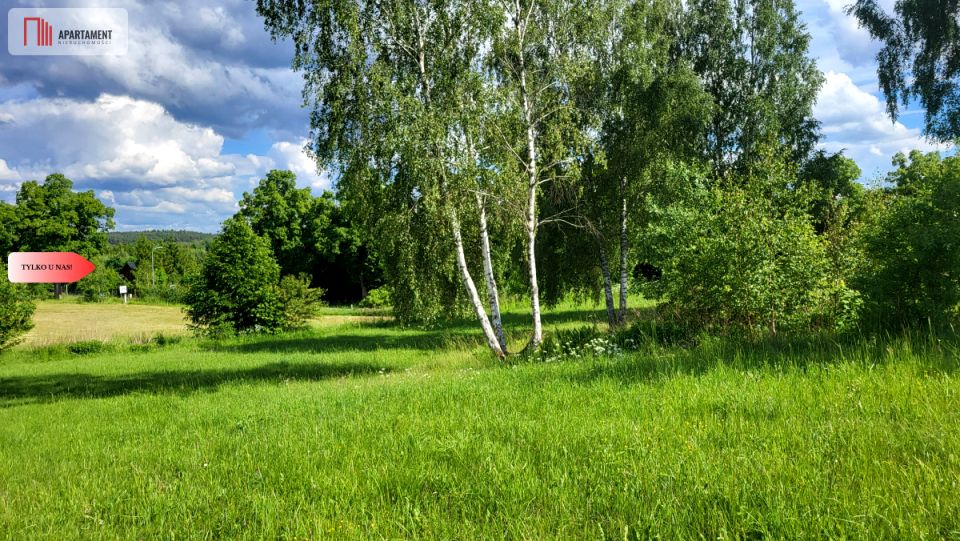 Zdjęcie 2