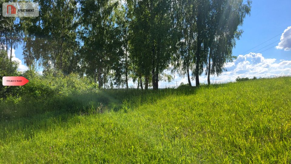 Zdjęcie 3