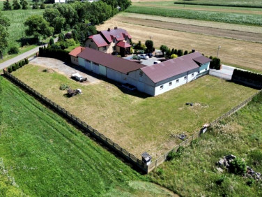 Mieszkanie Władysławów Popowski