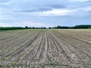 Działka przemysłowa sprzedam