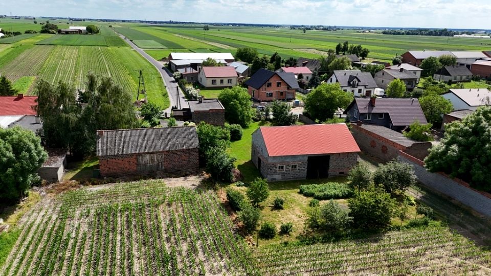 Zdjęcie 2