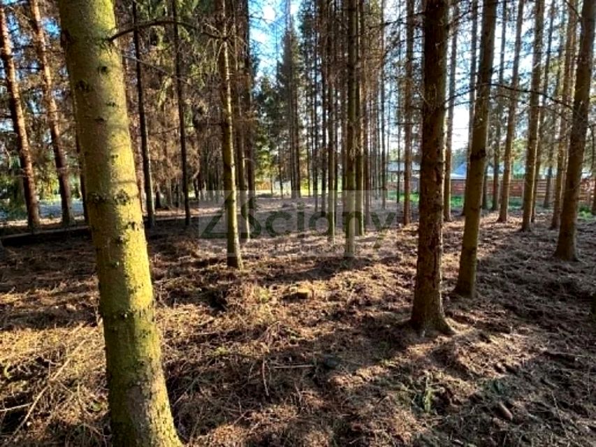 Zdjęcie 2