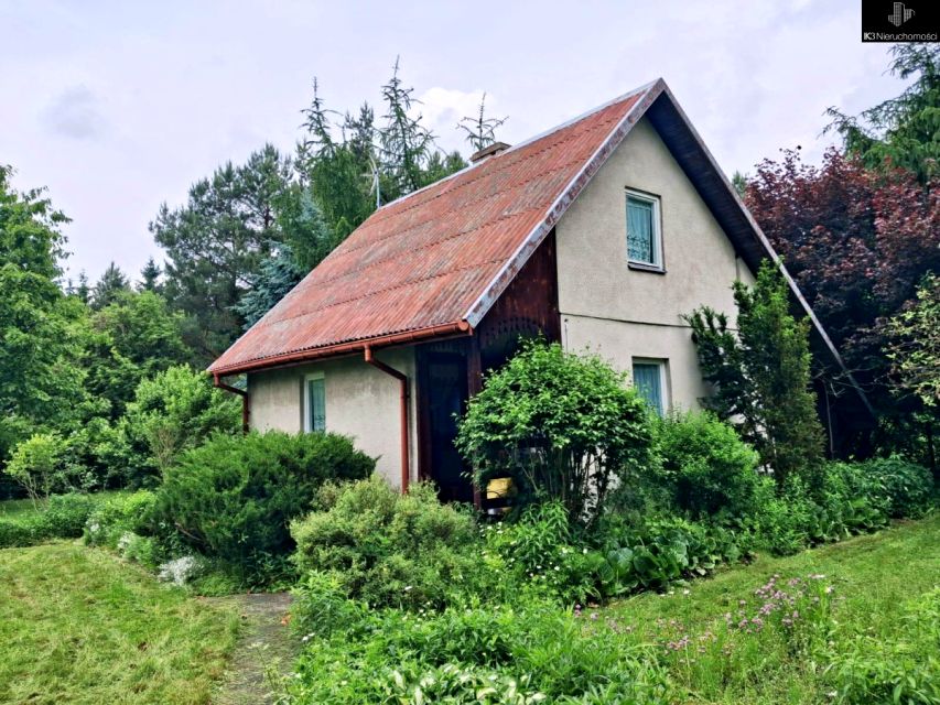 Dom Jerzyska