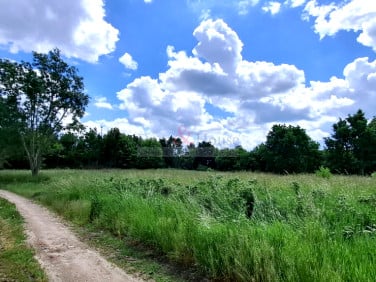 Działka budowlana Kłodawa