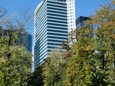 Lokal Warszawa
