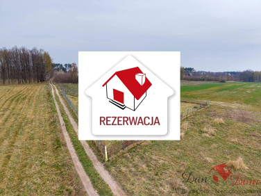 Działka Nienawiszcz