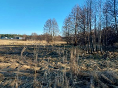 Działka budowlana Gruszka
