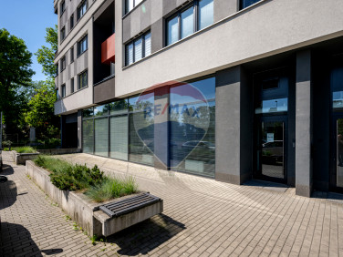 Lokal Kraków