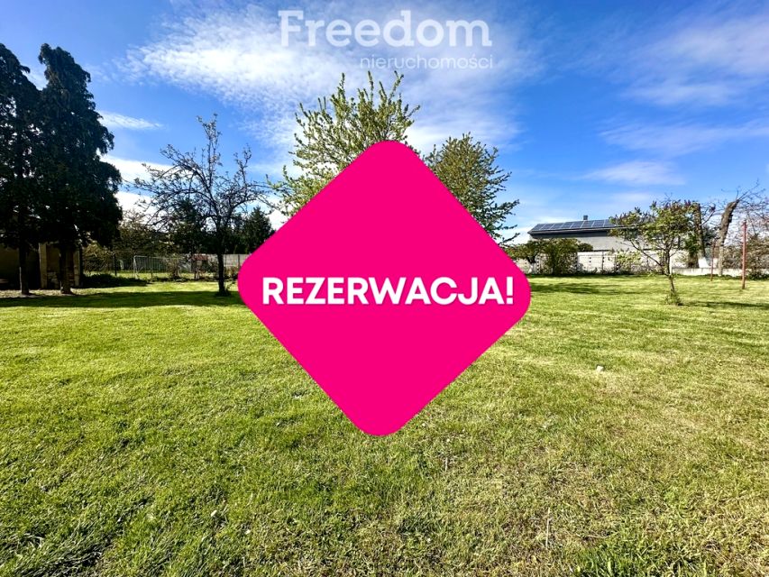 Zdjęcie 2