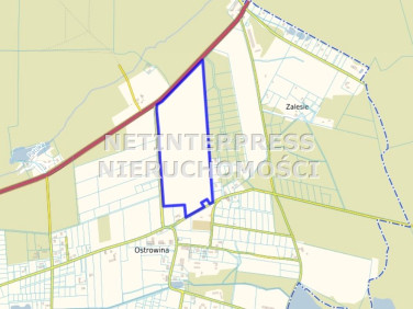 Działka przemysłowa Ostrowina