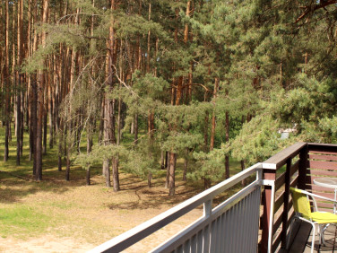 Lokal Radzyń