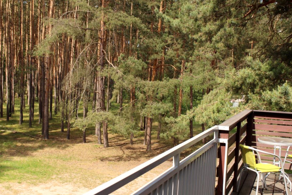 Lokal Radzyń