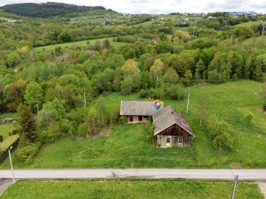 Działka Trzetrzewina
