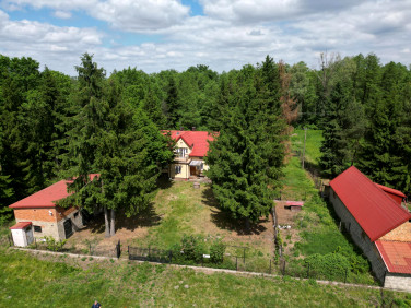 Działka budowlana Mogowo