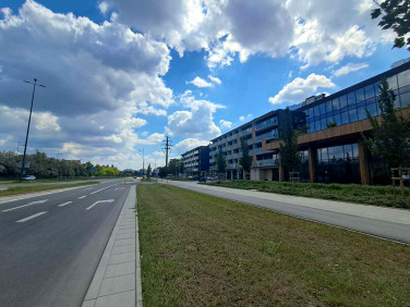 Lokal Warszawa