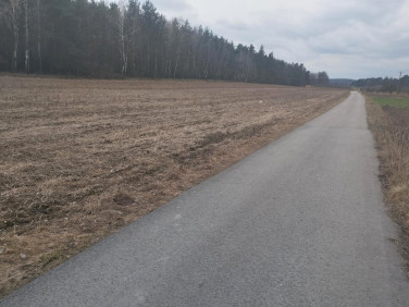 Działka budowlana Lesiew