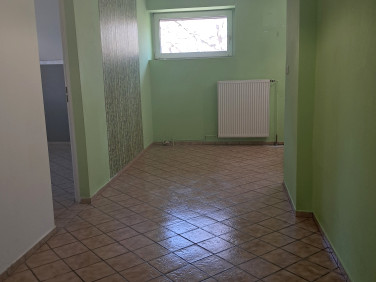 Lokal Jelenia Góra wynajem