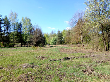Działka Siestrzeń