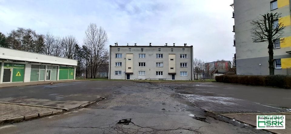 Zdjęcie 3