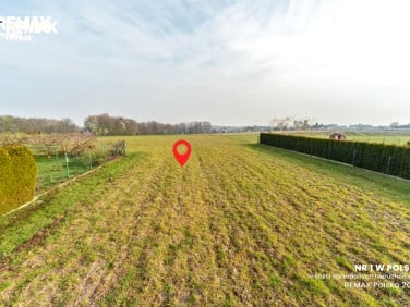Działka budowlana Pisarzowice