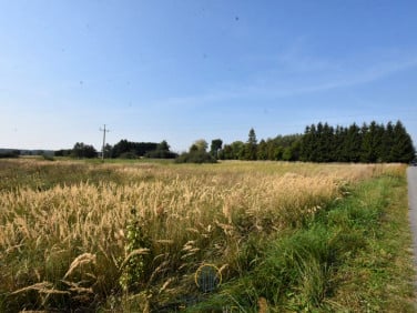 Działka siedliskowa Kamionka