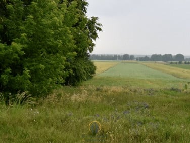 Działka budowlana Ostrówek