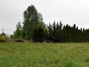 Działka Kozłówka