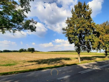 Działka rolna Rudno
