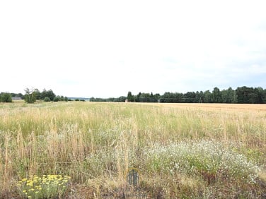 Działka Górka