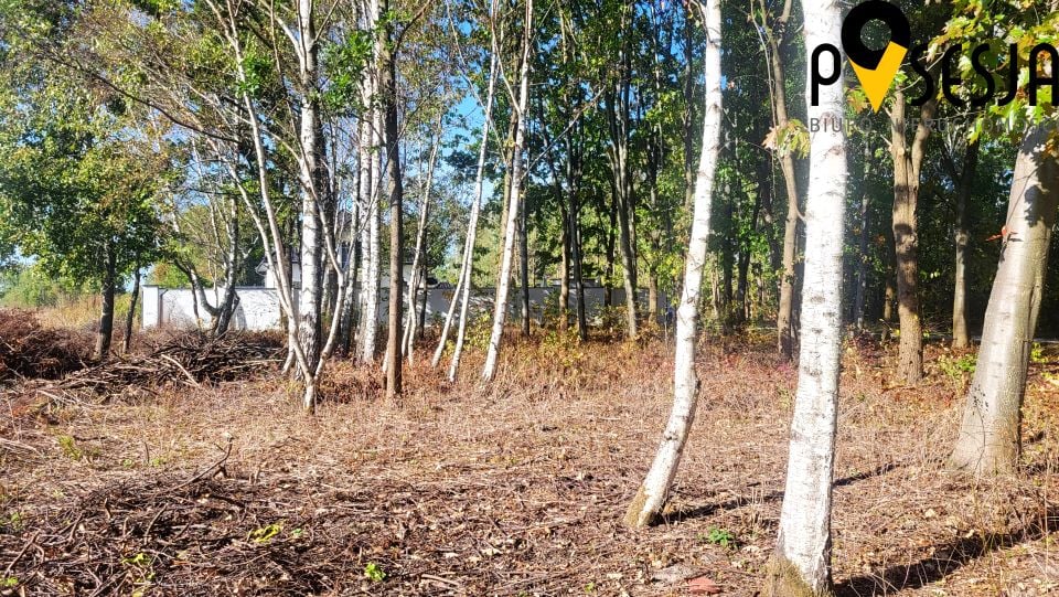 Działka budowlana Gołków
