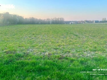 Działka budowlana Pisarzowice