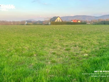 Działka budowlana Pisarzowice