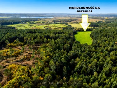 Działka Orle