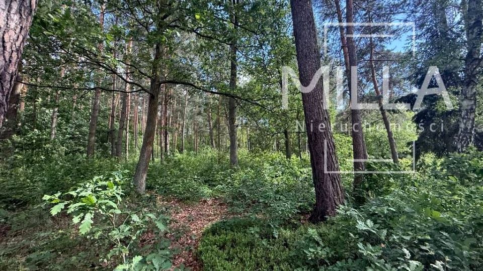 Działka budowlana Sokolniki-Las