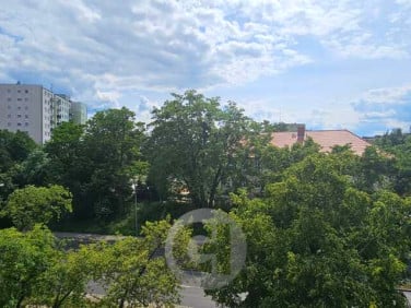 Mieszkanie Gorzów Wielkopolski