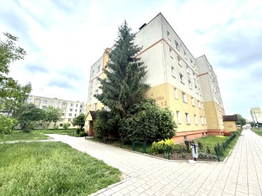 Mieszkanie Łódź