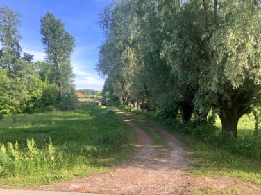 Działka budowlana Stare Gniewniewice