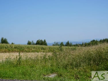 Działka Czułów