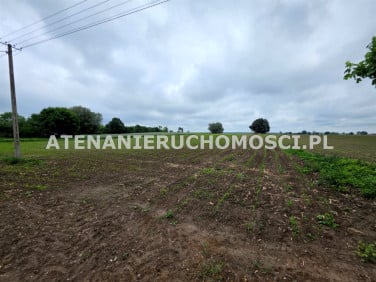 Działka budowlana Mamlicz