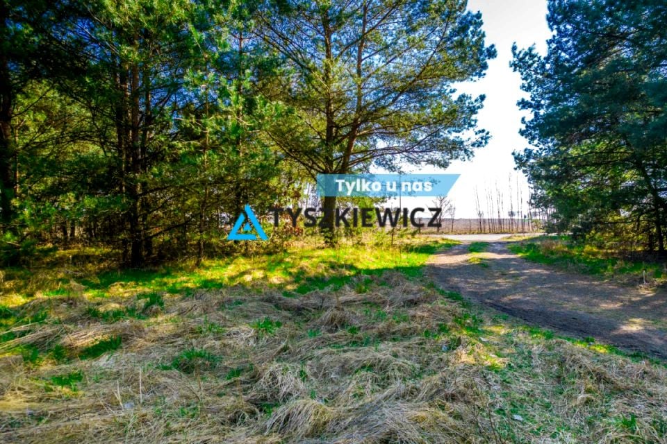 Działka inwestycyjna Witkowo sprzedam