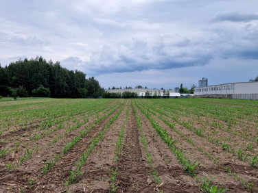 Działka przemysłowa Mrozy