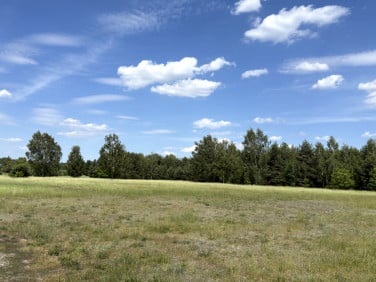 Działka budowlana Marianów