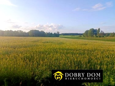 Działka rolna Wasilków
